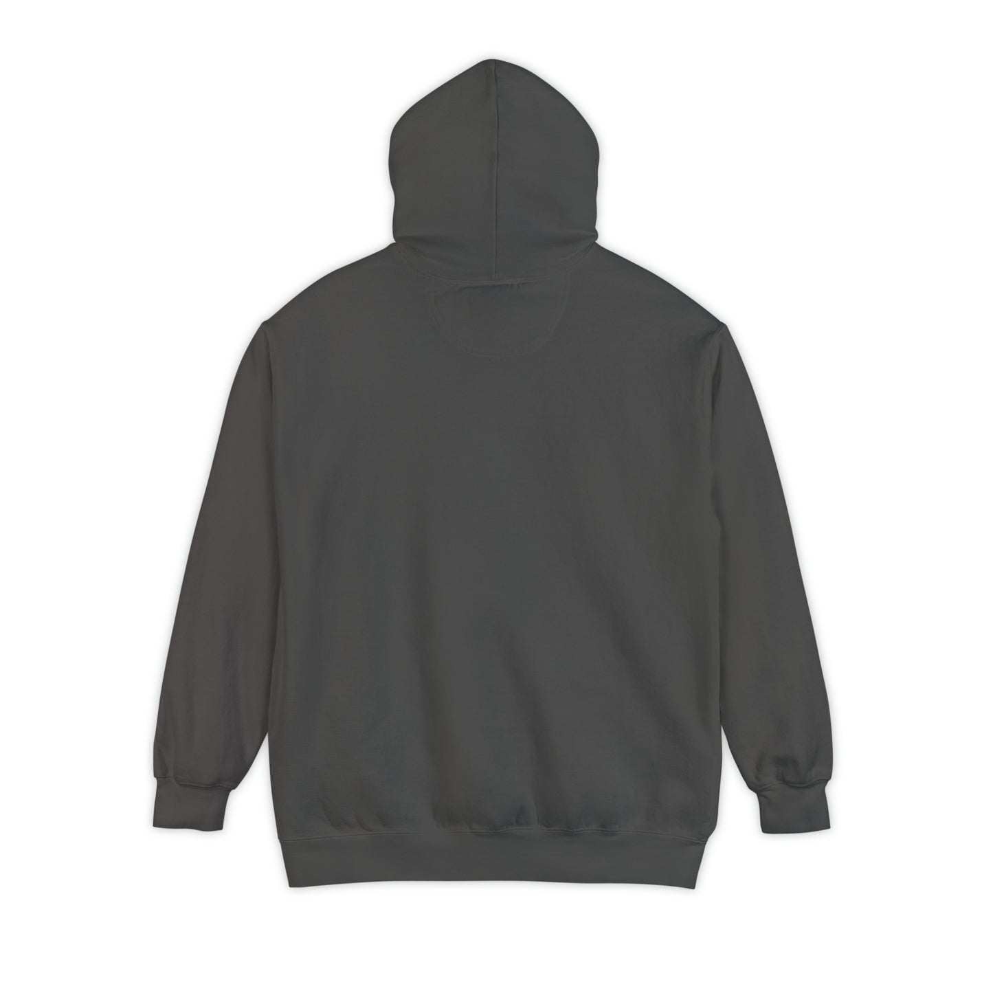 Axol Hockey Hoodie